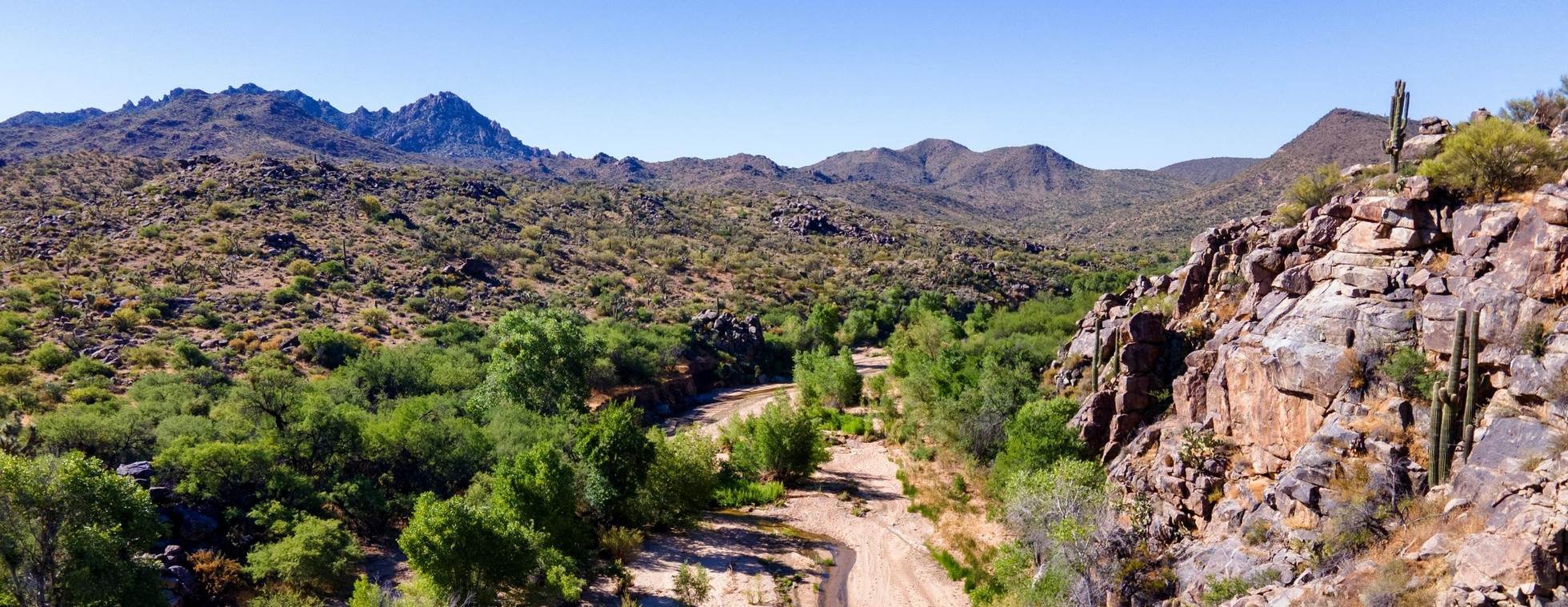 WIDE OPEN SPACES CELEBRATION